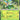 Perfect Order: 006/088 Serperior Holo