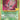 30th Celebration Classic Collection: 106/105 Shining Celebi Holo