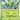 Temporal Forces: 001/162 Scyther Reverse Holo