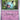 Paldean Fates: 032/091 Woobat Reverse Holo