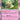 Paldea Evolved: 097/193 Mimikyu Holo