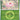 Ascended Heroes: 014/217 Cascoon (Energy Symbol Pattern) Reverse Holo