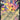 30th Celebration: 054/128 Pikachu ex